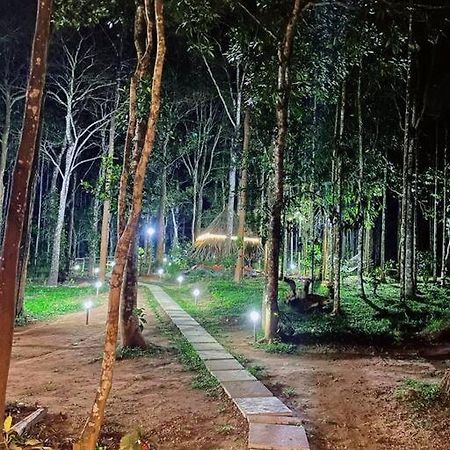 Tall Trees - Modern Forest Villa In Wayanad Sultan Bathery Exterior foto