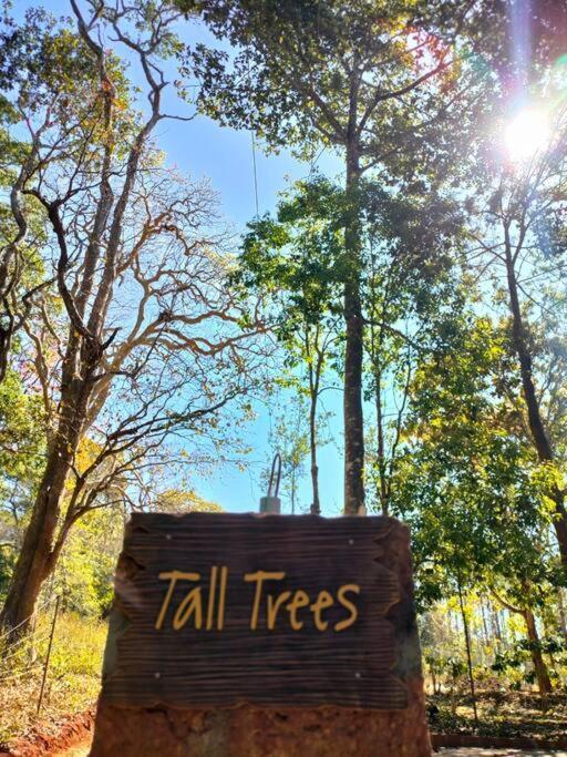 Tall Trees - Modern Forest Villa In Wayanad Sultan Bathery Exterior foto