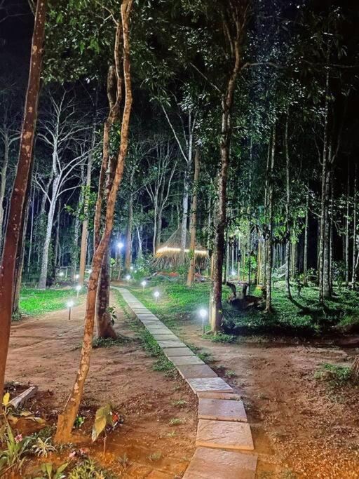 Tall Trees - Modern Forest Villa In Wayanad Sultan Bathery Exterior foto