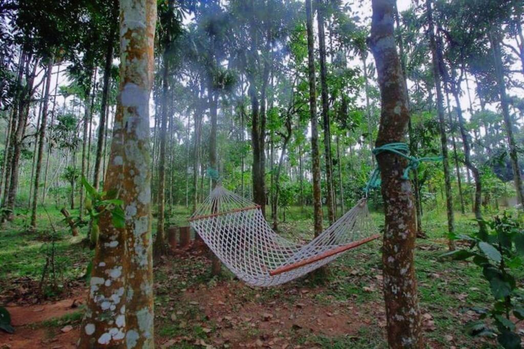 Tall Trees - Modern Forest Villa In Wayanad Sultan Bathery Exterior foto