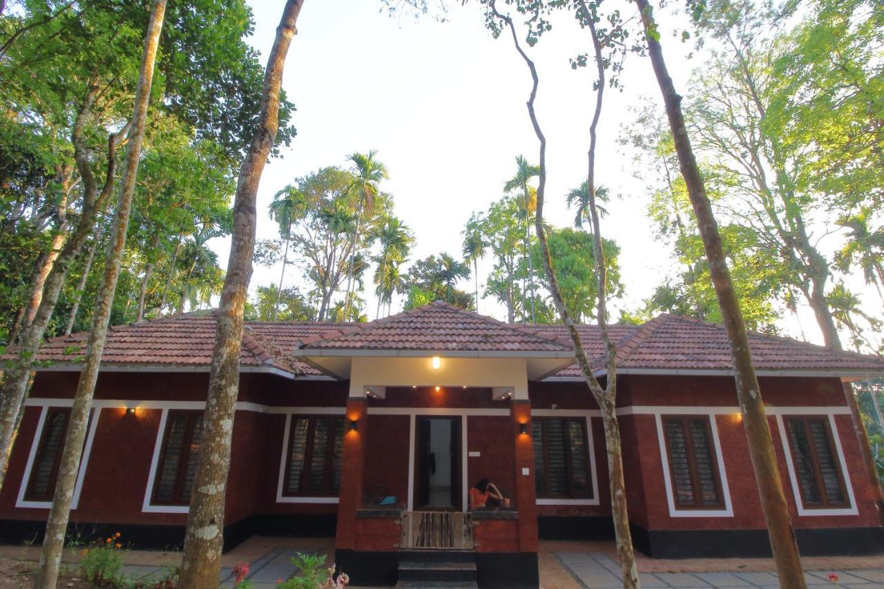 Tall Trees - Modern Forest Villa In Wayanad Sultan Bathery Exterior foto