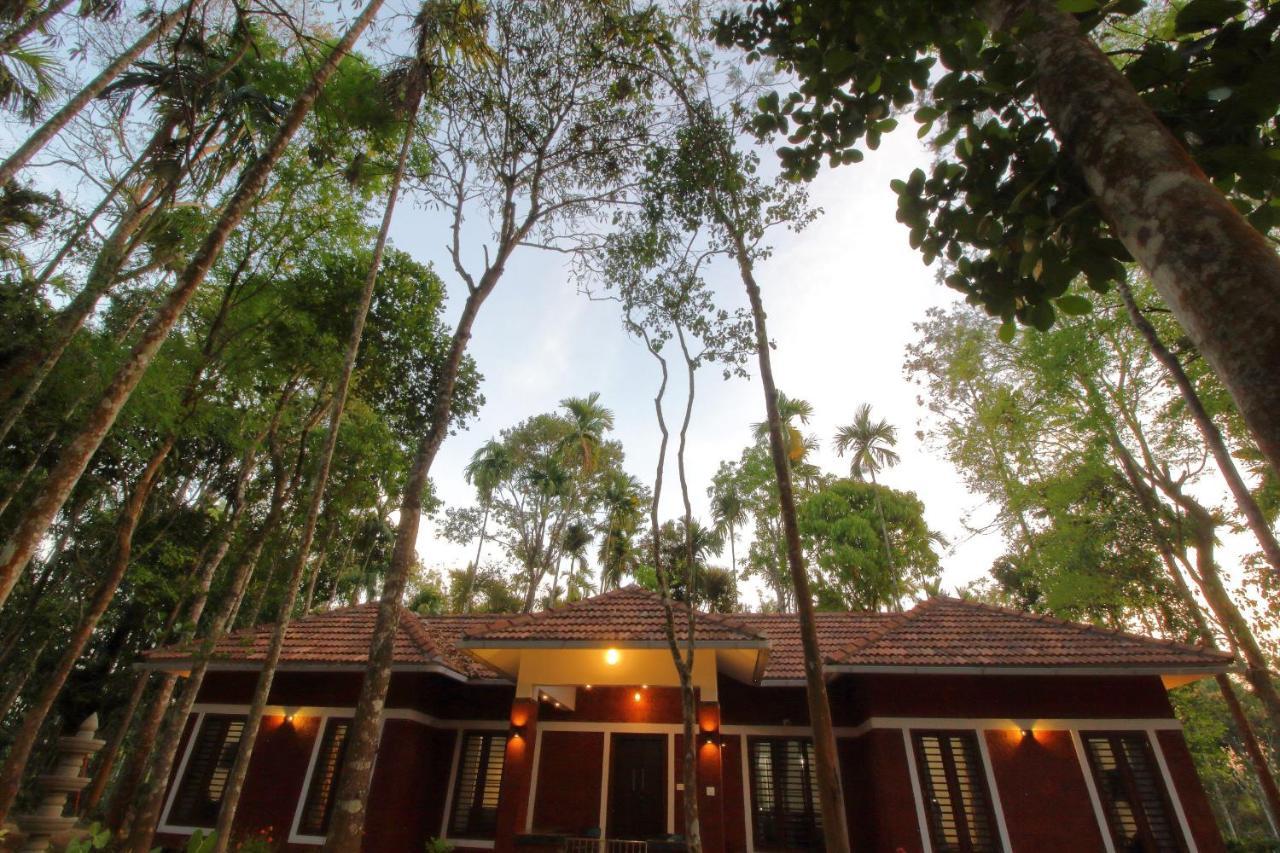 Tall Trees - Modern Forest Villa In Wayanad Sultan Bathery Exterior foto