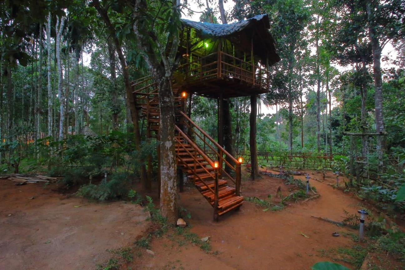 Tall Trees - Modern Forest Villa In Wayanad Sultan Bathery Exterior foto